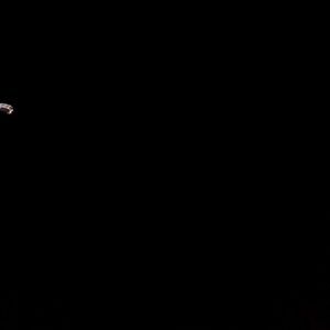 Meet your Posher, Royal